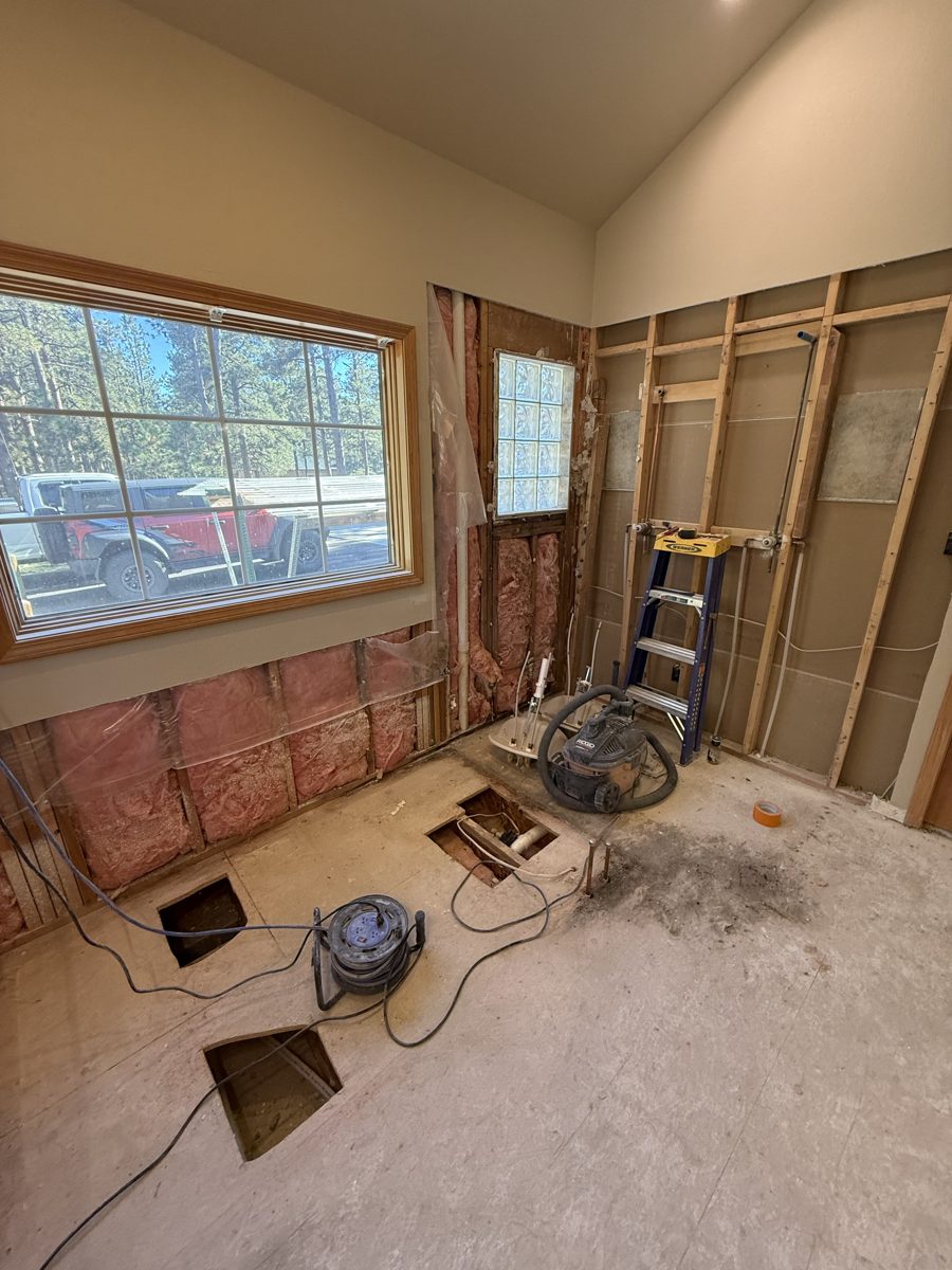 Bathroom gutted to the studs with insulation exposed and floor openings for new drain lines