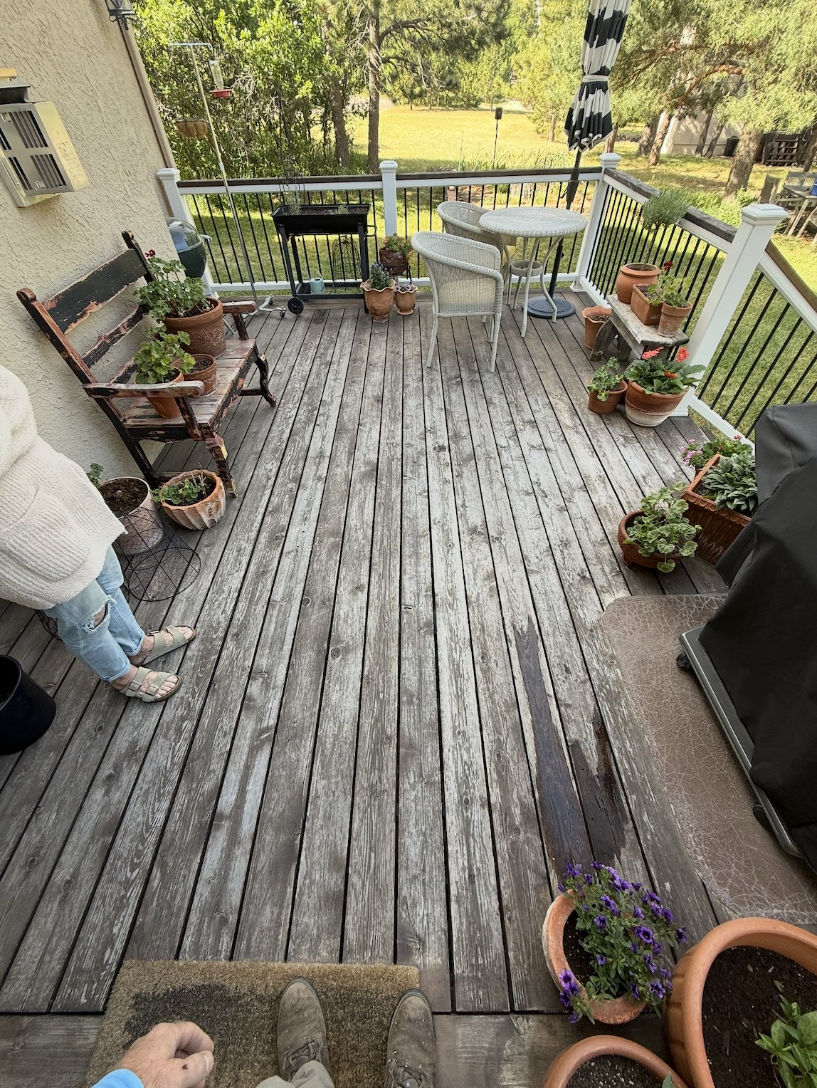 Weathered gray wood deck boards before a deck refinish