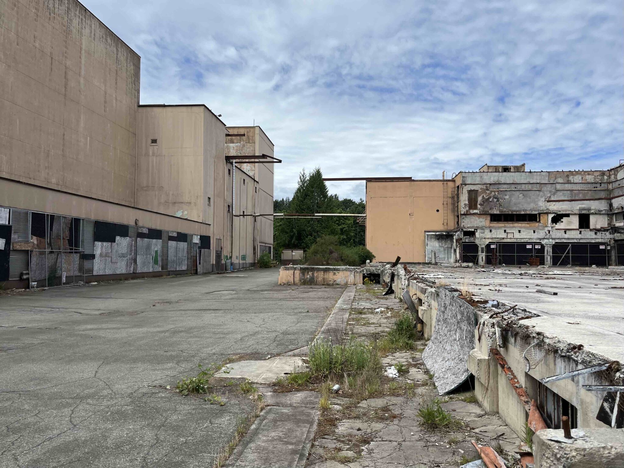 The derelict 1934 Olympia Brewery facility in Tumwater, Washington — beige concrete walls, crumbling edges, rebar exposed, weeds through asphalt